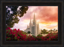 Load image into Gallery viewer, San Diego Flowers
