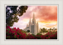 Load image into Gallery viewer, San Diego Flowers
