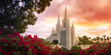 Load image into Gallery viewer, San Diego Flowers

