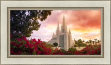 Load image into Gallery viewer, San Diego Flowers
