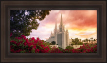 Load image into Gallery viewer, San Diego Flowers
