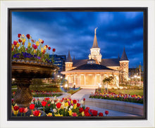 Load image into Gallery viewer, Provo City Center - April Showers Bring May Flowers
