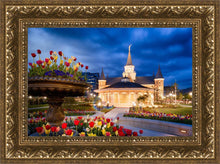Load image into Gallery viewer, Provo City Center - April Showers Bring May Flowers
