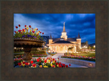 Load image into Gallery viewer, Provo City Center - April Showers Bring May Flowers
