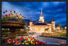 Load image into Gallery viewer, Provo City Center - April Showers Bring May Flowers
