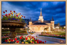 Load image into Gallery viewer, Provo City Center - April Showers Bring May Flowers
