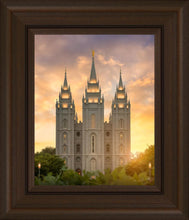 Load image into Gallery viewer, Salt Lake Golden
