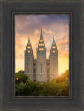 Load image into Gallery viewer, Salt Lake Golden

