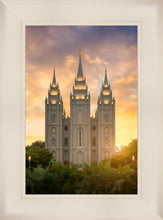 Load image into Gallery viewer, Salt Lake Golden
