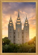 Load image into Gallery viewer, Salt Lake Golden
