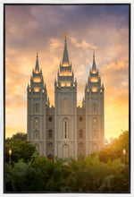 Load image into Gallery viewer, Salt Lake Golden
