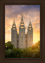 Load image into Gallery viewer, Salt Lake Golden
