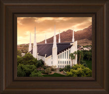 Load image into Gallery viewer, Las Vegas Desert Oasis Aerial

