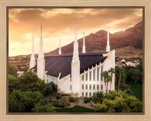Load image into Gallery viewer, Las Vegas Desert Oasis Aerial
