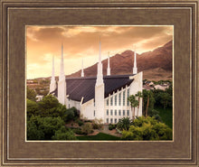 Load image into Gallery viewer, Las Vegas Desert Oasis Aerial
