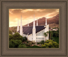 Load image into Gallery viewer, Las Vegas Desert Oasis Aerial
