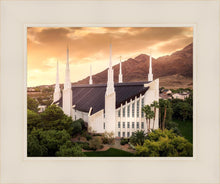 Load image into Gallery viewer, Las Vegas Desert Oasis Aerial
