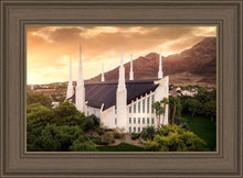 Load image into Gallery viewer, Las Vegas Desert Oasis Aerial
