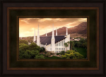 Load image into Gallery viewer, Las Vegas Desert Oasis Aerial
