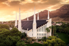 Load image into Gallery viewer, Las Vegas Desert Oasis Aerial
