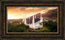 Load image into Gallery viewer, Las Vegas Desert Oasis Aerial
