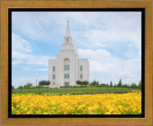 Load image into Gallery viewer, Blue and Gold Kansas City
