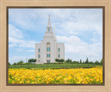 Load image into Gallery viewer, Blue and Gold Kansas City
