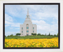 Load image into Gallery viewer, Blue and Gold Kansas City
