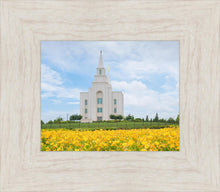 Load image into Gallery viewer, Blue and Gold Kansas City

