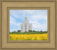 Load image into Gallery viewer, Blue and Gold Kansas City
