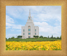 Load image into Gallery viewer, Blue and Gold Kansas City
