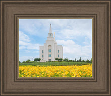 Load image into Gallery viewer, Blue and Gold Kansas City
