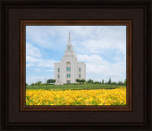 Load image into Gallery viewer, Blue and Gold Kansas City
