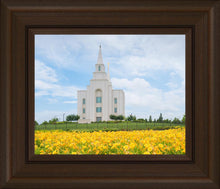 Load image into Gallery viewer, Blue and Gold Kansas City
