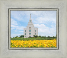 Load image into Gallery viewer, Blue and Gold Kansas City
