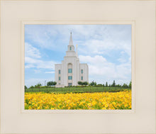Load image into Gallery viewer, Blue and Gold Kansas City
