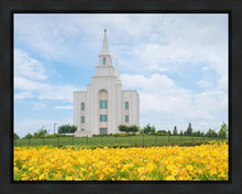 Load image into Gallery viewer, Blue and Gold Kansas City
