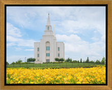 Load image into Gallery viewer, Blue and Gold Kansas City

