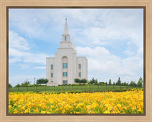 Load image into Gallery viewer, Blue and Gold Kansas City

