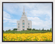 Load image into Gallery viewer, Blue and Gold Kansas City
