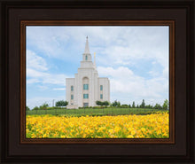 Load image into Gallery viewer, Blue and Gold Kansas City
