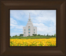 Load image into Gallery viewer, Blue and Gold Kansas City
