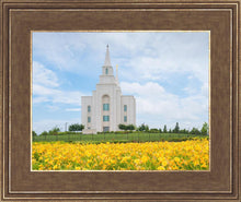 Load image into Gallery viewer, Blue and Gold Kansas City
