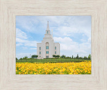Load image into Gallery viewer, Blue and Gold Kansas City
