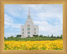 Load image into Gallery viewer, Blue and Gold Kansas City
