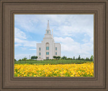 Load image into Gallery viewer, Blue and Gold Kansas City
