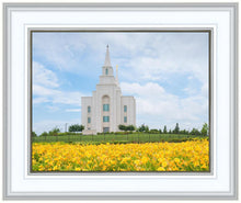 Load image into Gallery viewer, Blue and Gold Kansas City
