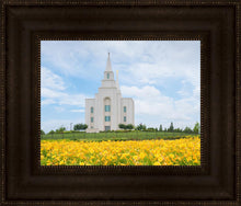 Load image into Gallery viewer, Blue and Gold Kansas City
