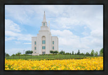 Load image into Gallery viewer, Blue and Gold Kansas City
