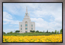 Load image into Gallery viewer, Blue and Gold Kansas City
